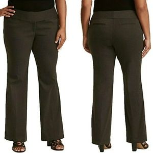 Torrid pants